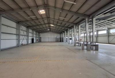 Spatiu industrial/comercial stradal pe soseaua Berceni - 8