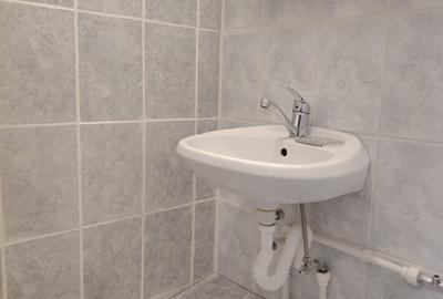 Garsonieră nedecomandată în Uzina 2 - 14