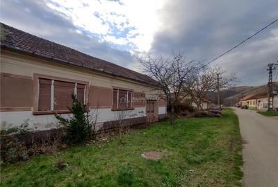 Bogodint, Casa 440mp cu 4 Hectare Teren, Pret Negociabil - 14