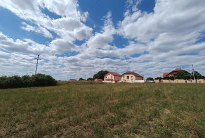 Teren Construcții intravilan de 2000 mp, în Zădăreni - 12