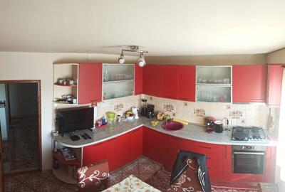 Apartament cu 3 camere decomandat, mobilat în Șag - 7