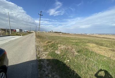 Teren agricol extravilan de 15000 mp, în Albota - 5