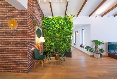 Casă individuală cu 5 camere cu Canalizare în Berceni - 12