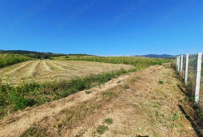 Teren de 2500 mp, în Berzasca - 5