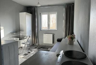 Garsonieră nedecomandată în Buziașului - 4