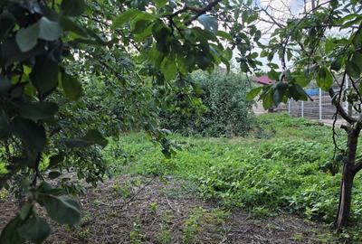 Casă cu 4 camere cu Teren 2200 Mp în Mihai Bravu - 8