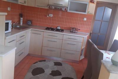 Zona Dumbravei, casa 10ari teren - 3