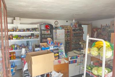 Vanzare casa in comuna Gherghita (ID 787) - 10