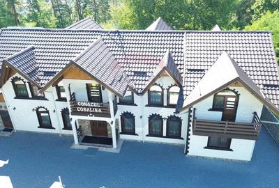 Pensiune de vanzare in Sovata Conacul Cosalina - 17
