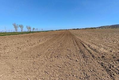 Teren de 4000 mp, în Plăiești - 1