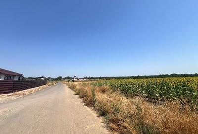 Teren Intravilan Balotesti Biserica Sfantul Nicolae COMISION 0% - 5