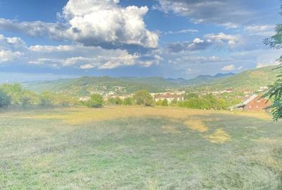 Spațiu comercial, în Brad - 5