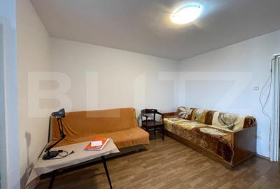 Garsoniera decomandata, 28 mp, pet friendly, zona Iulius Mall - 4