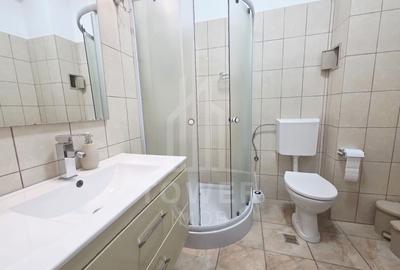 Apartament de inchiriat in Doamna Stanca - 11