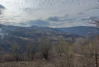 Spațiu comercial, în Muntele Rece - 4