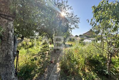 Casă cu 3 camere cu Teren 542 Mp în Turnișor - 4