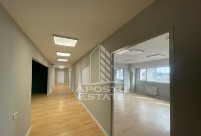 Spatiu pentru birouri, 152 mp, Zona Torontalului - 5