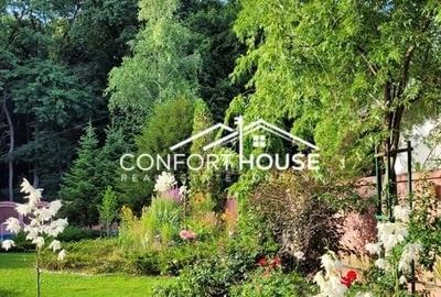 VILA D+P+E+M, 12 camere, piscina , padure, IANCU NICOLAE VILA D+P+E+M, 12 camere, piscina , padure, IANCU NICOLAE - 37