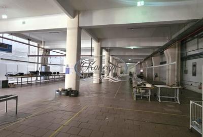 Spatiu industrial cu birouri pe Bulevardul Muncii - 5