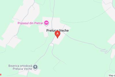 Teren agricol extravilan de 9100 mp, în Preluca Veche - 1