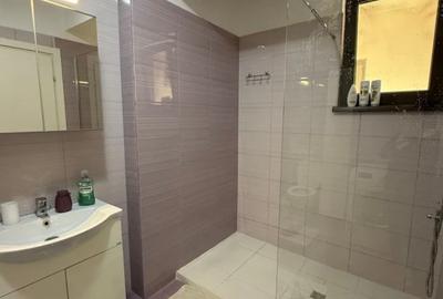 Apartament cu 2 camere decomandat, mobilat în Bucureștii Noi - 6