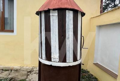 Casă individuală cu 2 camere cu Canalizare în Săliște - 11