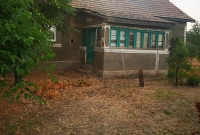 Casa batraneasca cu teren 3000 mp Casa batraneasca cu teren 3000 mp - 4