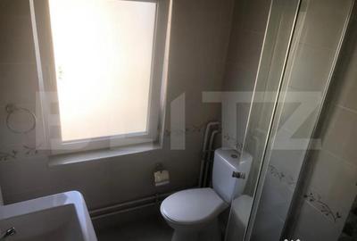 Casă cu 5 camere cu Teren 3000 Mp în Botiz - 13