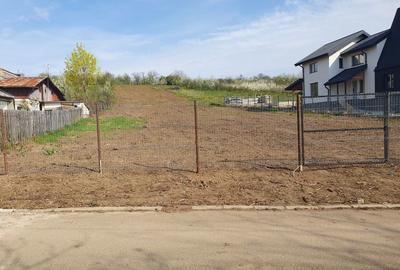 Teren de 4000 mp, în Exterior Vest - 5