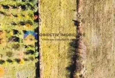Teren de 2200 mp, în Gârcina - 5