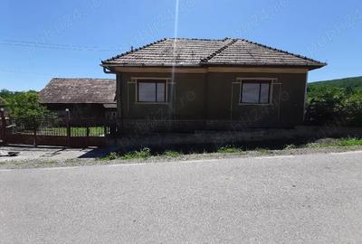 Casă cu 3 camere cu Teren 4000 Mp în Tămașa - 6