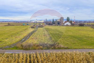 COMISION 0% Teren 3,600mp Brasov / Strada Livezilor - 12