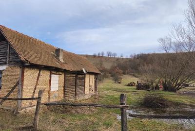 Teren de 6000 mp, în Julița - 1