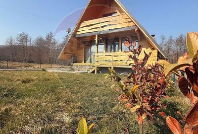 Casă cu 4 camere cu Teren 1000 Mp în Săpânța - 20