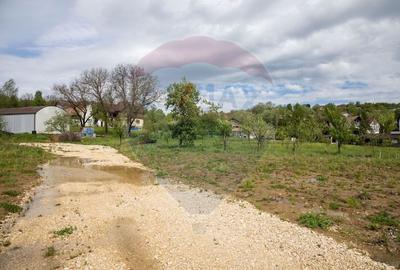 Teren de vanzare cu potential turistic-Predelut,comuna Bran - 5