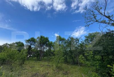 Teren extravilan de vanzare, 6000 mp, zona Hateg - 3