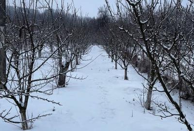 CASĂ  DE VÂNZARE ÎN COMUNA BOȚEȘTI -ARGEȘ - 14