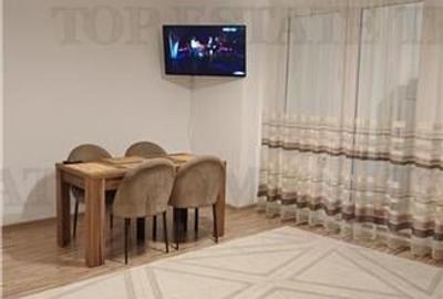 Apartament 2 camere, mobilat/utilat cu  toate utilitatile, pe strada pricipala, - 3