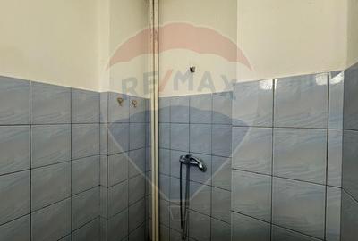 Garsonieră semidecomandată, mobilată în Micălaca - 4