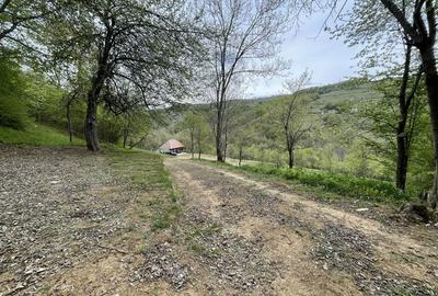 Casă cu 2 camere în Bătrâna - 5
