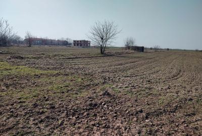 Teren de 5000 mp, în Frumușani - 8