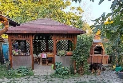 Gospodarie (casa si teren) com. Gura Vadului, Prahova - 7