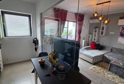 Apartament de inchiriat cu vedere la lac - 13