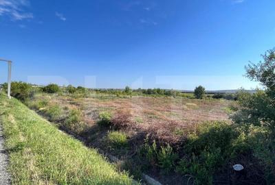 Teren intravilan, 2559 mp, zona Sitoaia Teren intravilan, 2559 mp, zona Sitoaia - 1