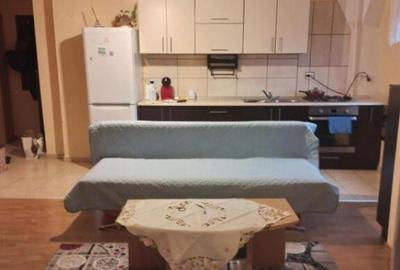 Apartament 2 camere 57mp la mansarda, Turnisor - 9