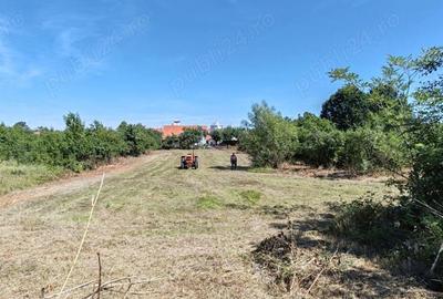 Teren de 1720 mp, în Coșteiu - 2