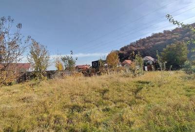 Teren Intravilan Bunloc - 11