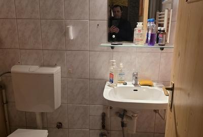 Titan, chiar la intrare in Parcul IOR, pe Lunca Bradului, la Scoala 195 - 2