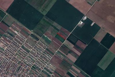 Teren agricol extravilan de 7462 mp, în Berceni - 7