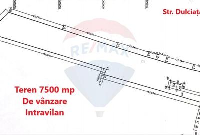 Teren 7500 mp de vanzare Crivat, str. Dulciata Ion, jud. Calarasi - 4